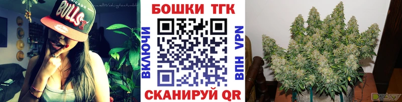 Купить закладки  Буинск  Бошки Шишки ГИДРОПОН 